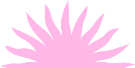 demi-soleil-rose.png